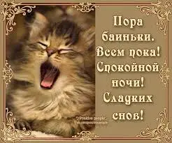 images.webp
