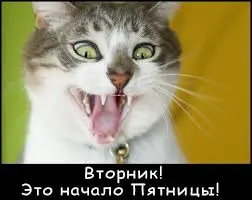images.webp