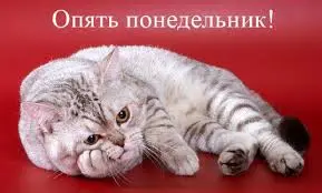 images.webp