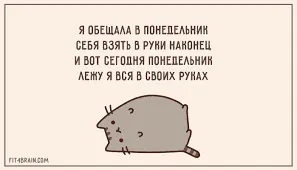 images.webp