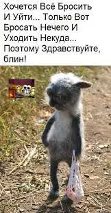 images.webp