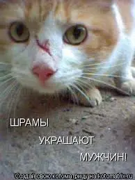 images.webp