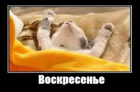 images0509.webp
