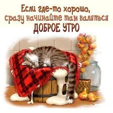 images0808.webp