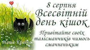 images09.webp