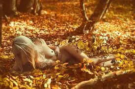 images7.webp