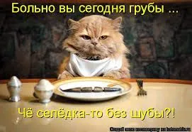images9.webp