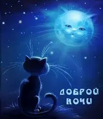 images99.webp