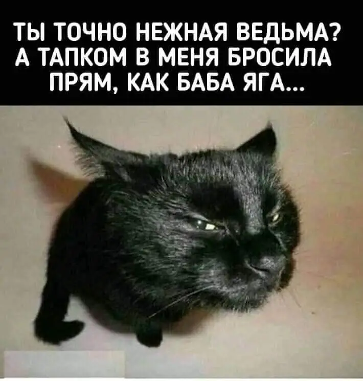 IMG-004f2047b352ae8b78c7be80a2621769-V.webp