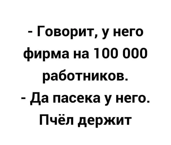 IMG-02821cf861206a0546ff2a152b1d4797-V.webp