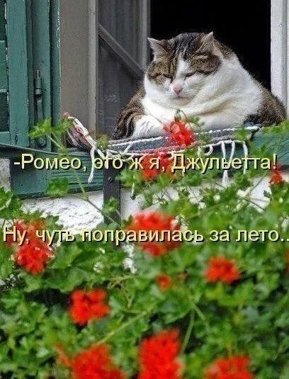 IMG-030275edbba45463d5cfe2bdc00d3682-V.webp