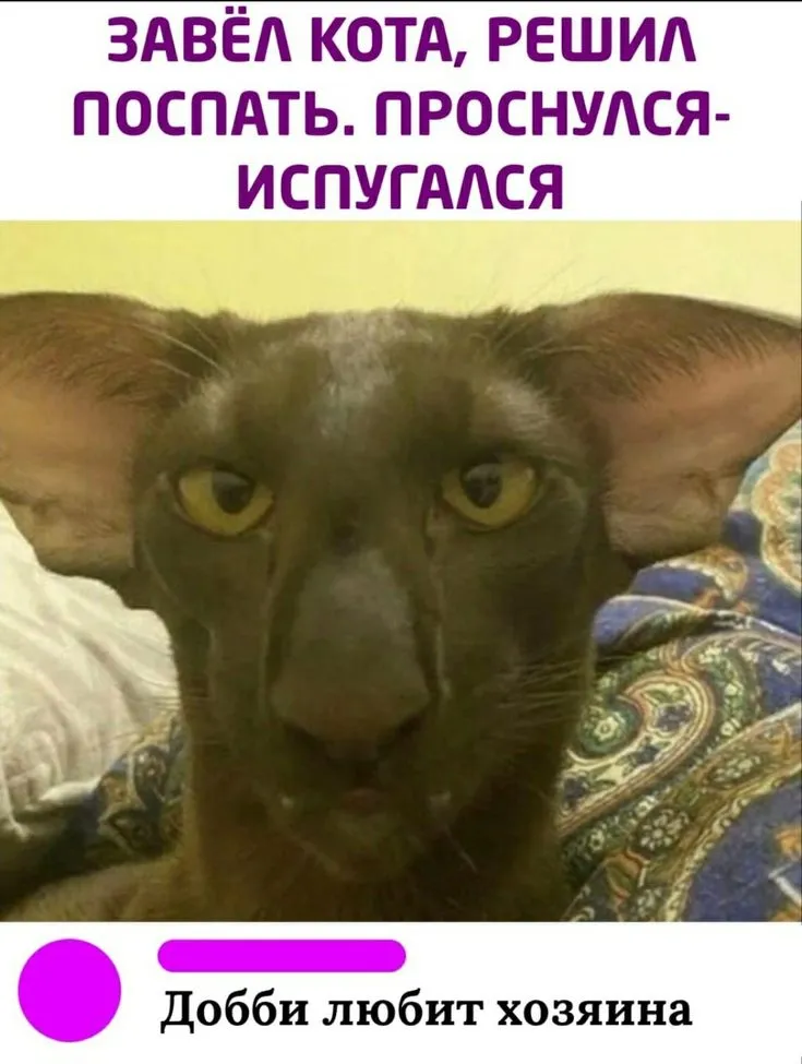 IMG-03b00ffd9df070ef6ce0fae12a7fdbc7-V.webp