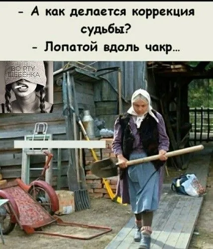 IMG-03ce75f1968736578268d498082c6046-V.webp