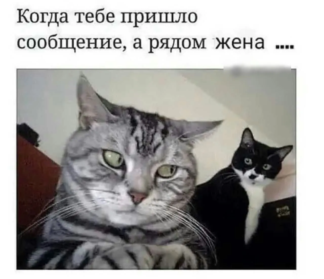 IMG-0467078dc4a240d6291674d3070119c4-V.webp