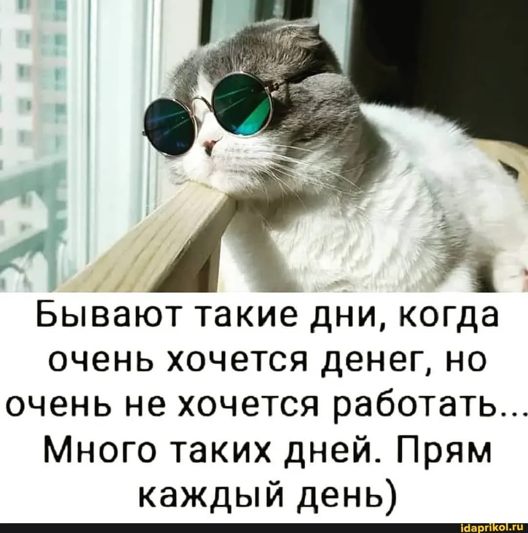 IMG-04d03dcb6e3b045eec60844374eb76dc-V.webp