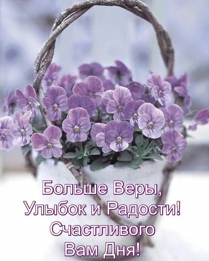 IMG-04fa6260b331294edf4ab8242ed3f0b5-V.webp