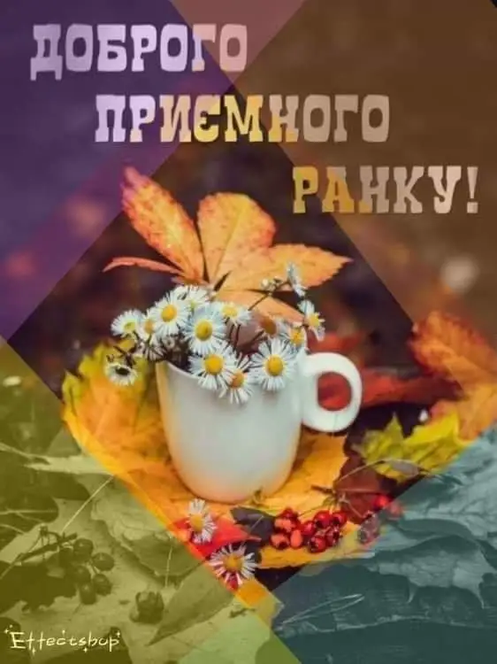 IMG-055131ecd19b64eff73276227ee21865-V.webp