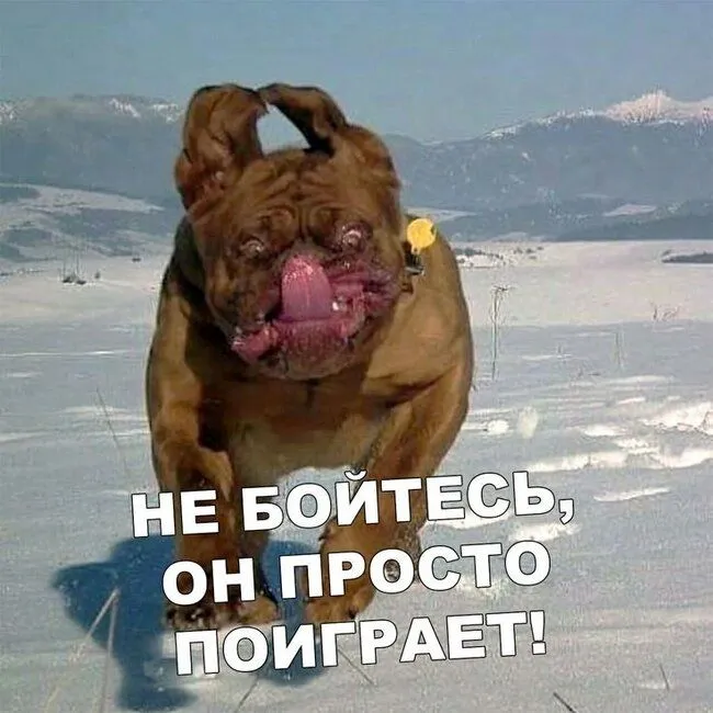 IMG-05c2fe9da8131f8b35063c8a759909ba-V.webp