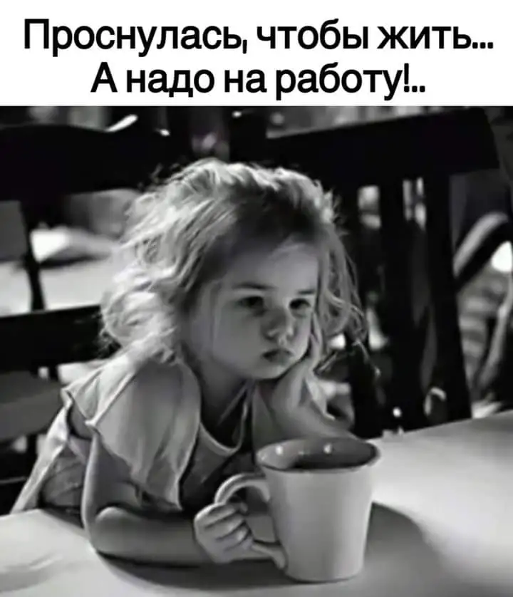 IMG-06220878ce503ea507f06d81d3950315-V.webp
