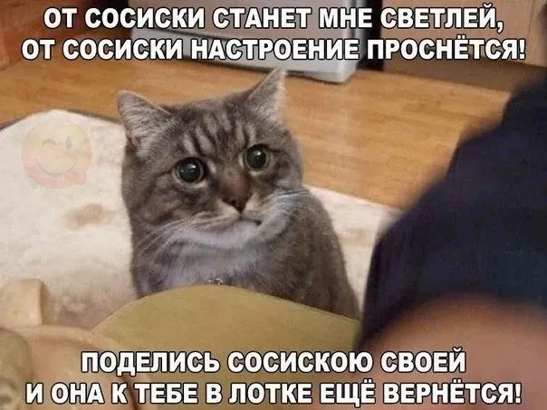 IMG-0662000b55f25a9d0386a3c541927f57-V.webp