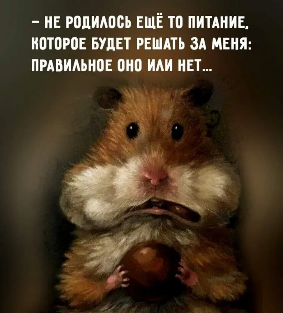 IMG-06666432c409e5d5a164e4a80fa6f415-V.webp