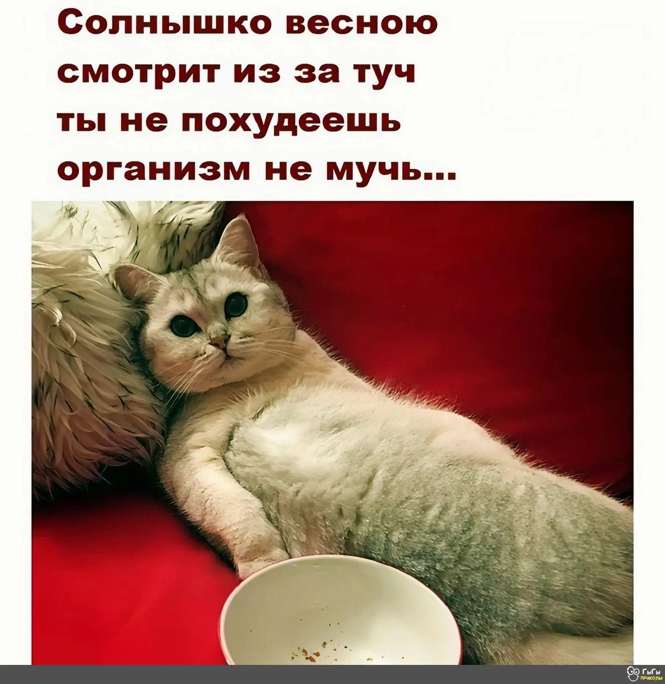 IMG-06ae1a2f2e26b5d356f412199fc531c1-V.jpg