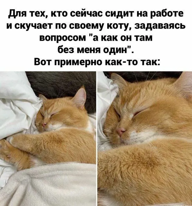 IMG-072466cd32ad4255e2af3e2b3cbe43f4-V.webp