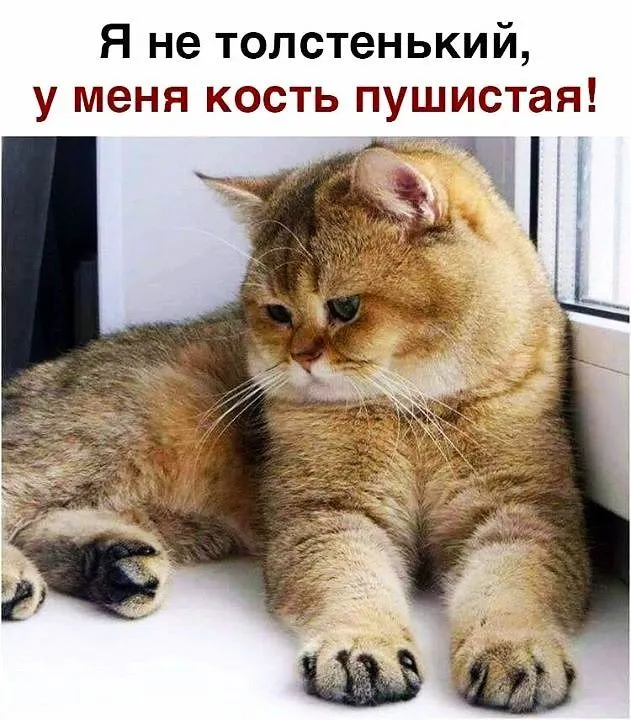 IMG-07542775310fe1bdbbaf72117066ffdf-V.webp