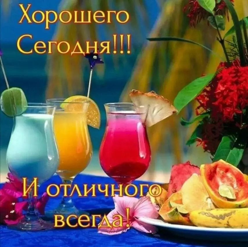 IMG-07e7cdd1ee08bfce09fef7cdc514f1d2-V.webp