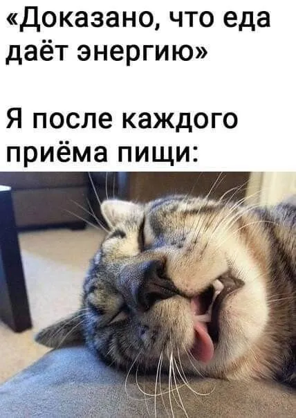 IMG-0814a2e22bef0e6e6a22ced6e91894bc-V.webp