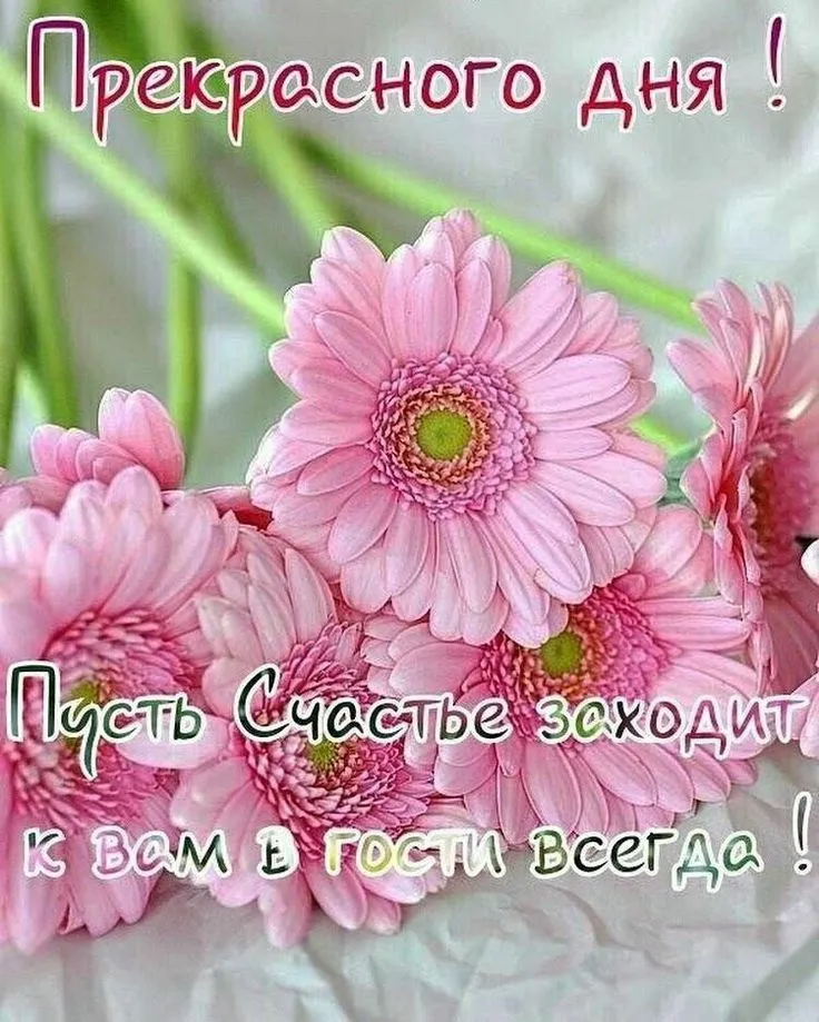 IMG-08aee1c452c108baa508d02bcd8bb458-V.webp