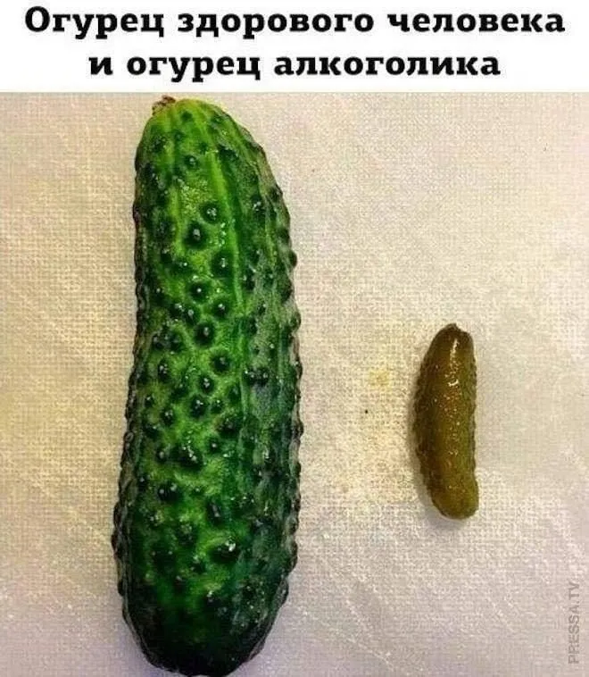 IMG-0921e0ede67575fe40c733bd50b92fd1-V.webp