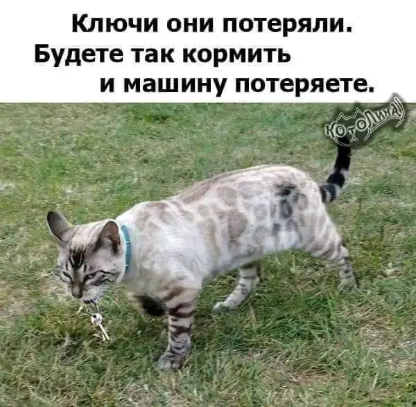 IMG-0aacef0051c37684464c9b32b31d0b57-V.webp