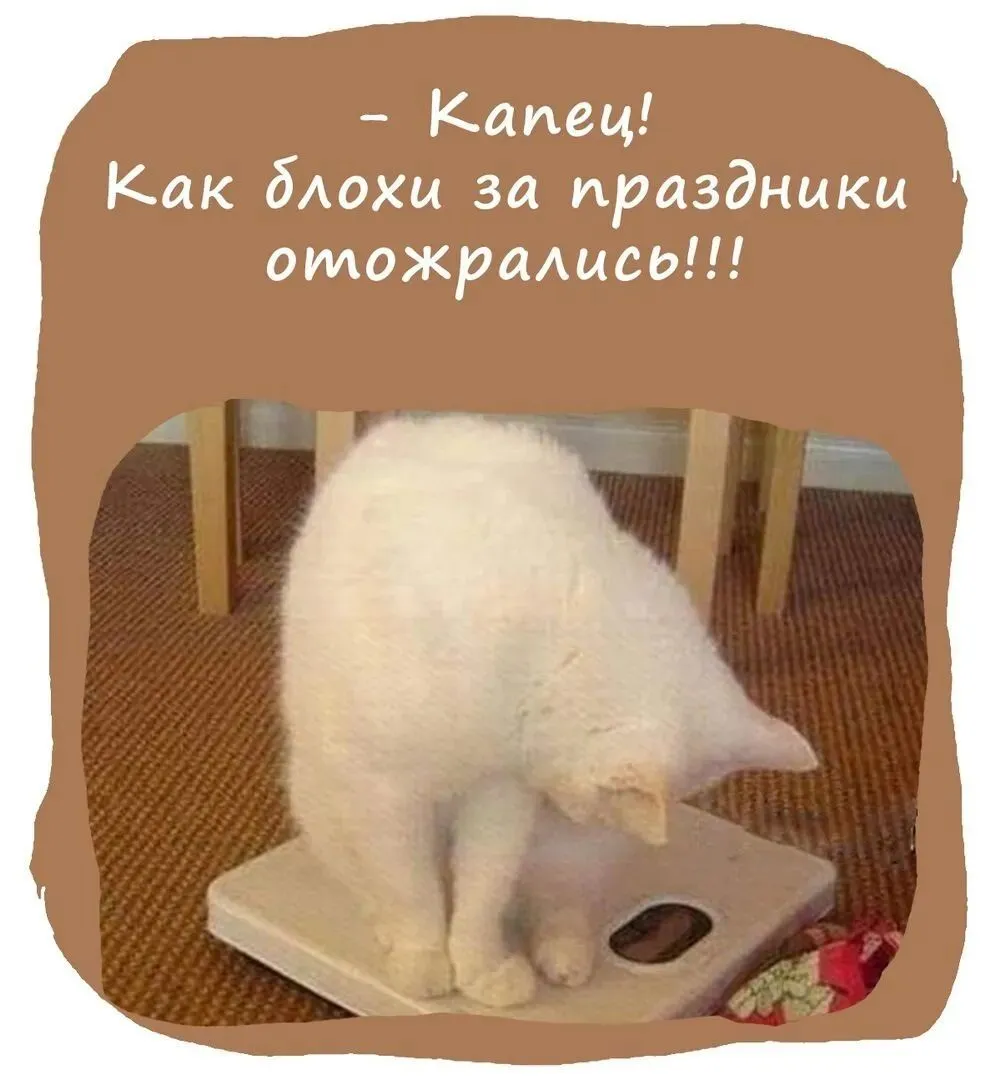 IMG-0b473c229a6346a64f48d1059b16eed6-V.webp