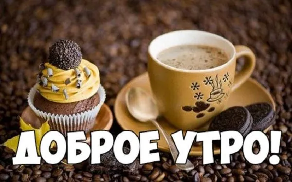 IMG-0c351c96573b2fc7d20b93db66af8a0e-V.webp