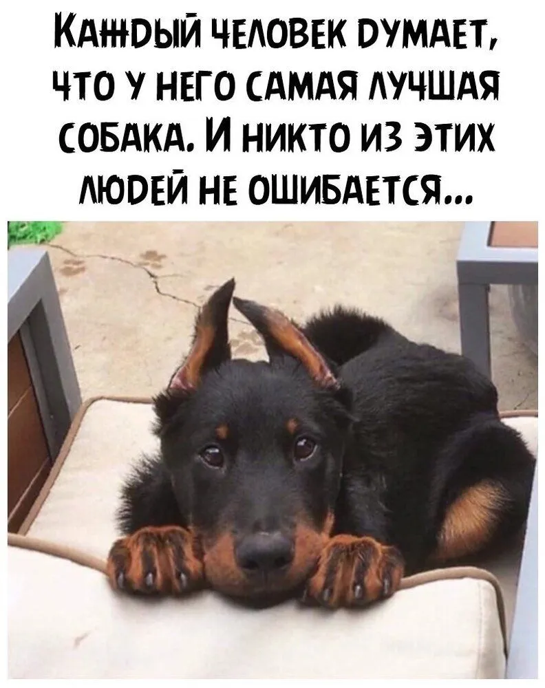 IMG-0c5358e916949e1780cd7ca0340d7215-V.webp