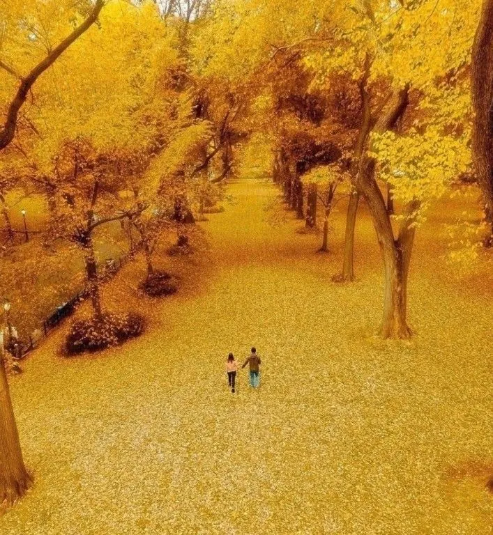 IMG-0c96c58e1bb7a07d94c4ef1ce7fc7fe1-V.webp