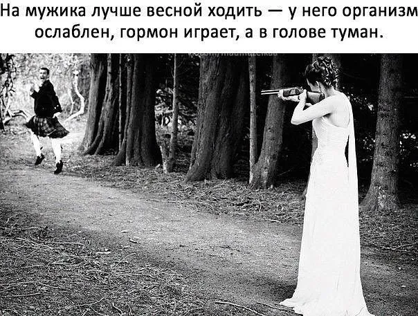 IMG-0db91d417fcf1f01a7d69b6a865e727b-V.webp