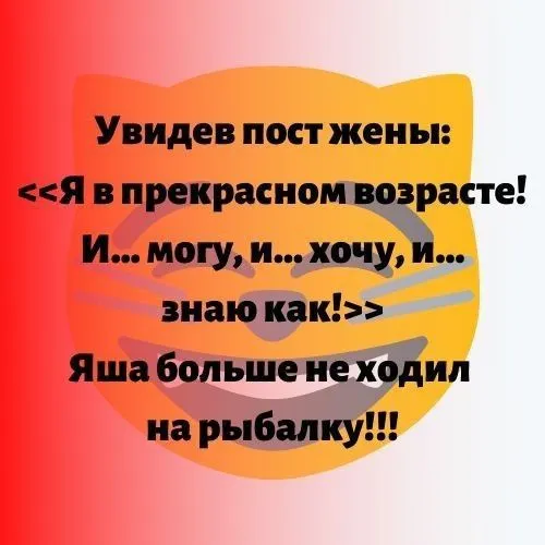 IMG-0ddc1aa1971aa5687b46acb3312ebb60-V.webp