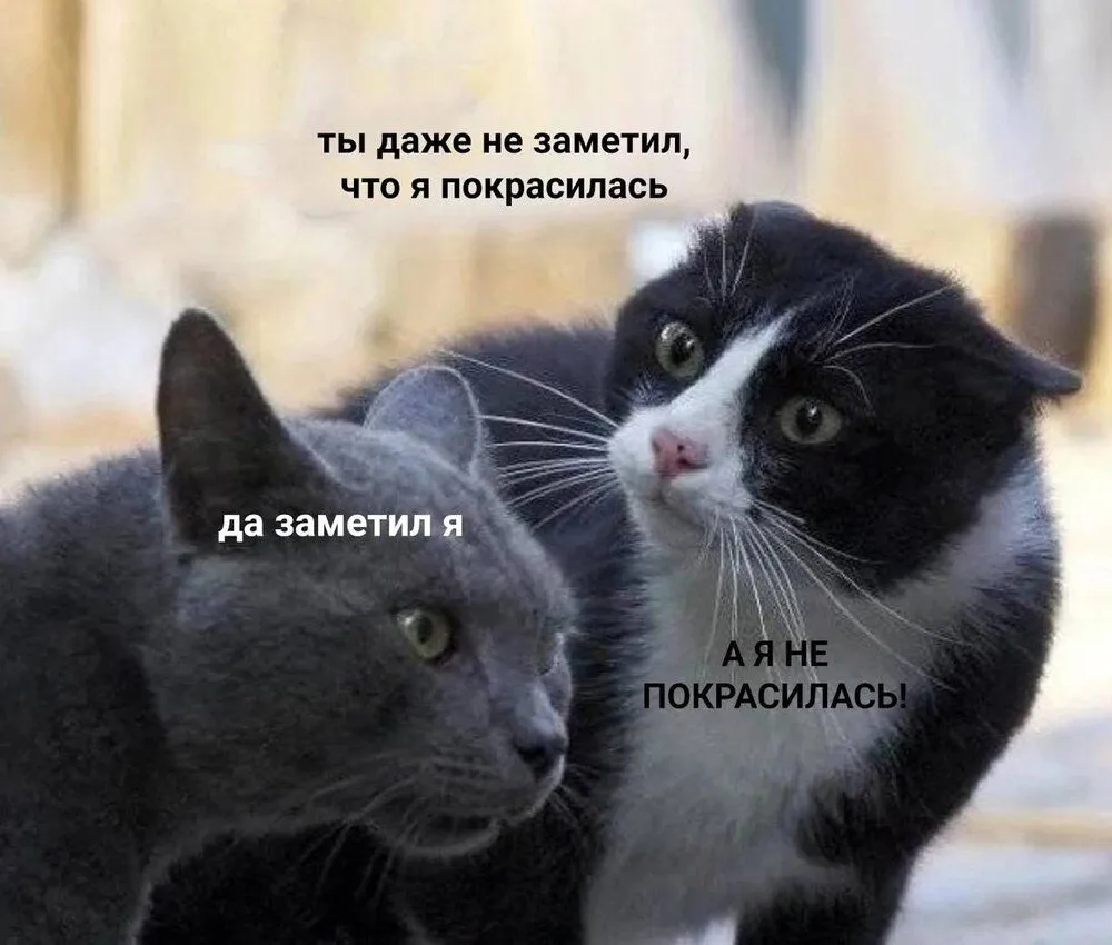 IMG-0dee6ad3ed6ec90fd5f3e10f4ebb2de5-V.webp
