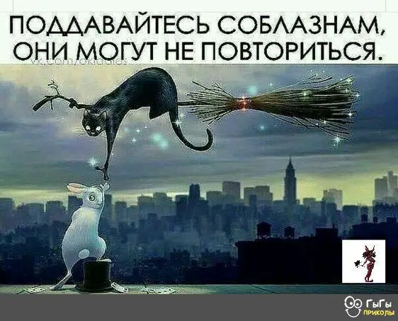 IMG-0e30628473d0a034b2de9141ee42b1e2-V.webp