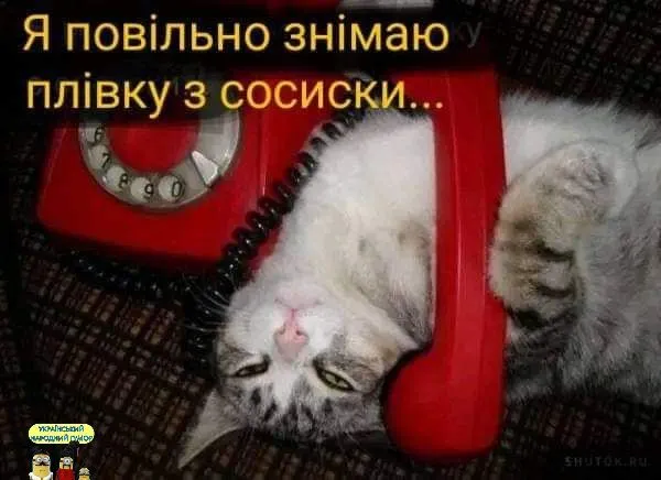IMG-0e6123b8408e7ac75246d840dca29d2e-V.webp
