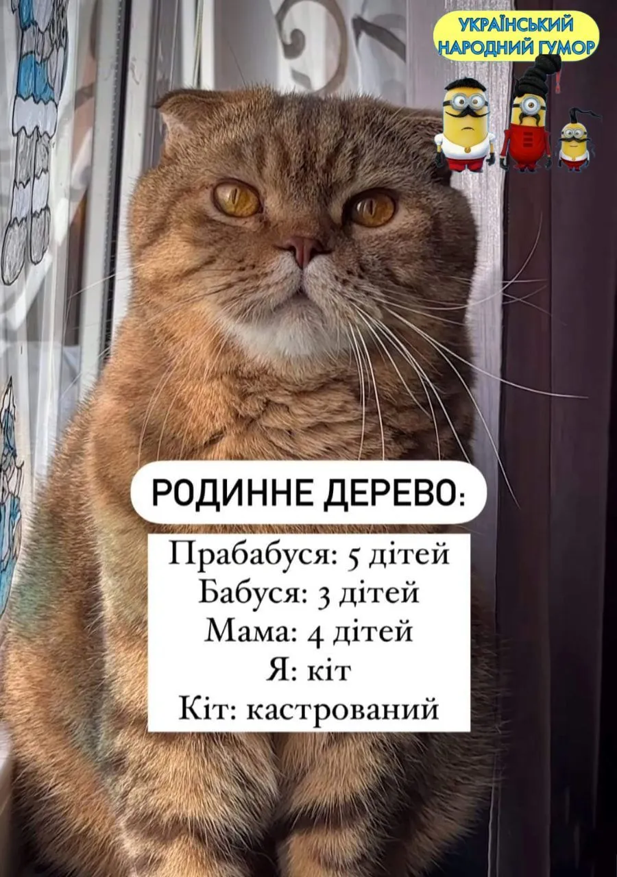 IMG-0ecf42fa0101cf7d0798b13705515046-V.webp