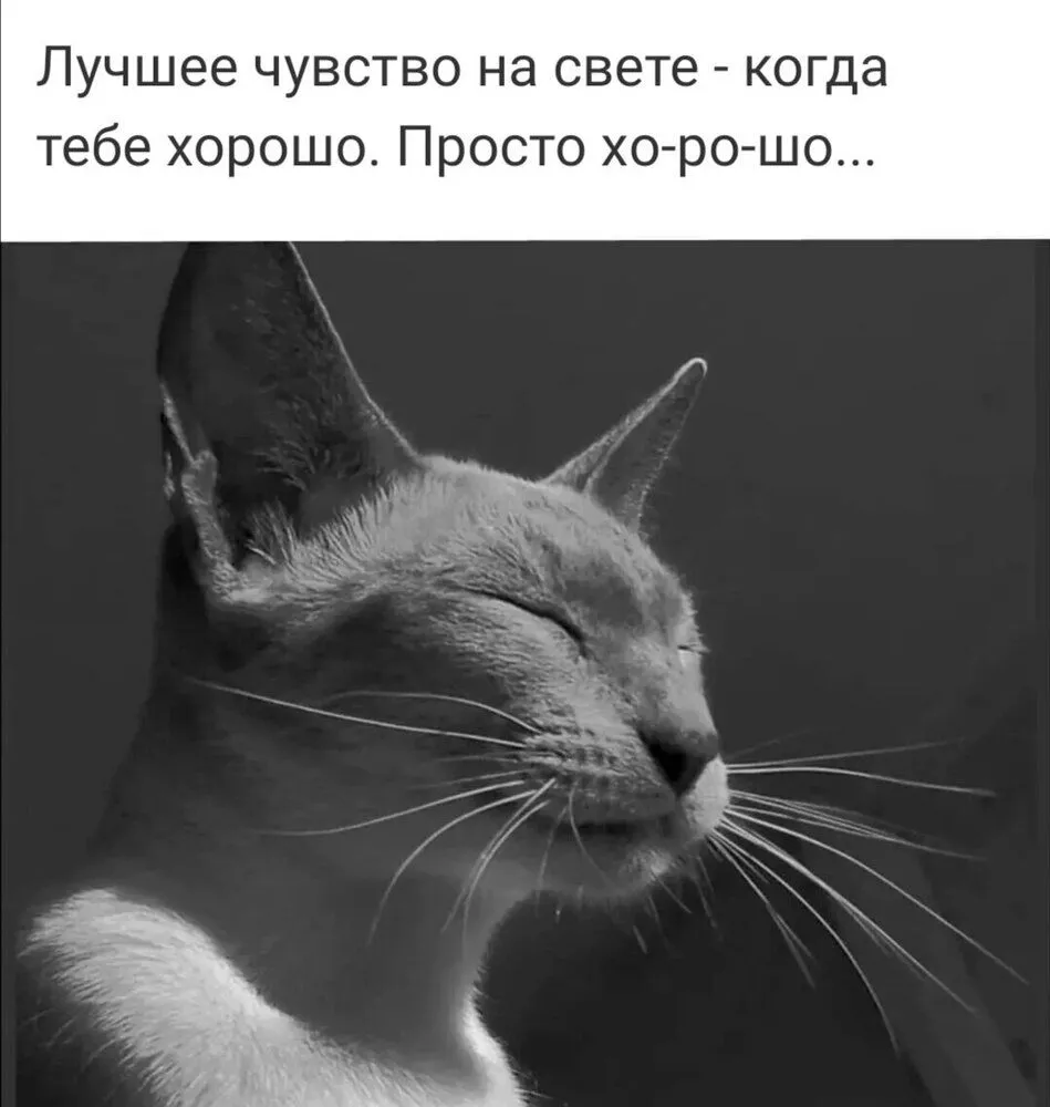IMG-0f0bf0981941b0102e8d95c7648bcb5d-V.webp