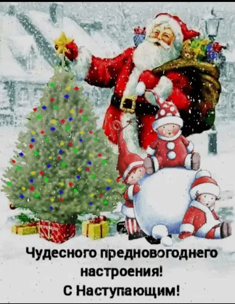 IMG-0f5bb83a9af8e385ee148d0e4c754008-V.webp