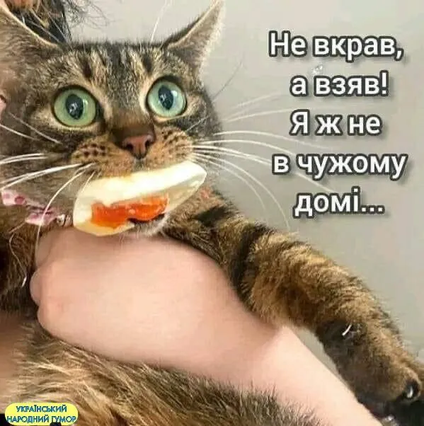 IMG-0fc1fee2ee02a608af9de696c944c63c-V.webp