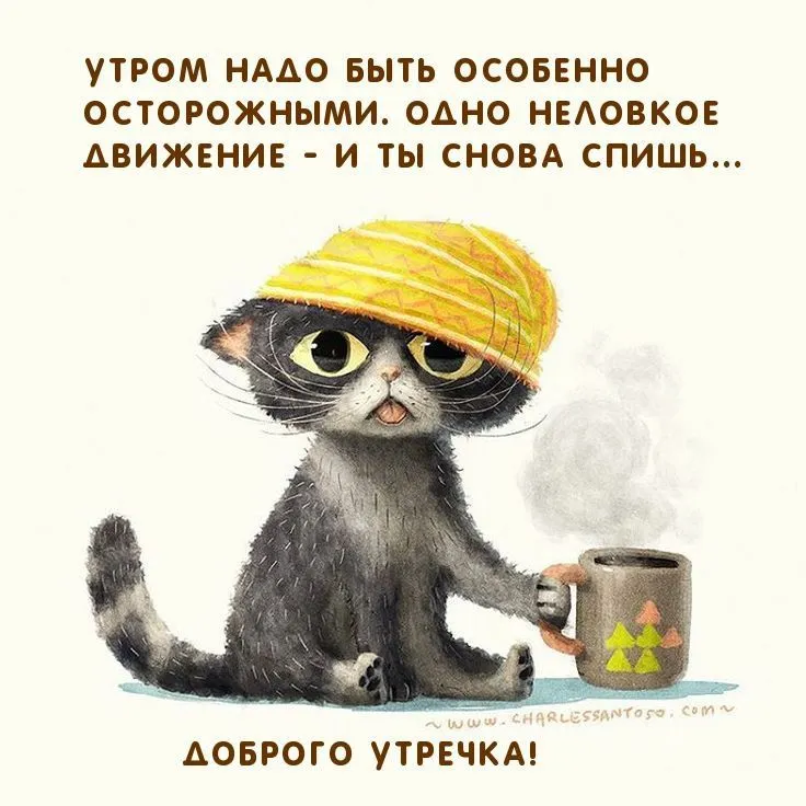 IMG-0fe899349cef8576f28a60d4a2c9965d-V.webp