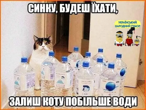 IMG-100d48f0e65735e775394822df554f24-V.webp