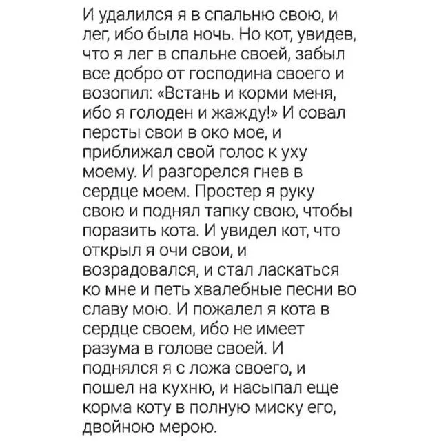 IMG-10343f5a18236c191b0b26ccfebdfec6-V.webp