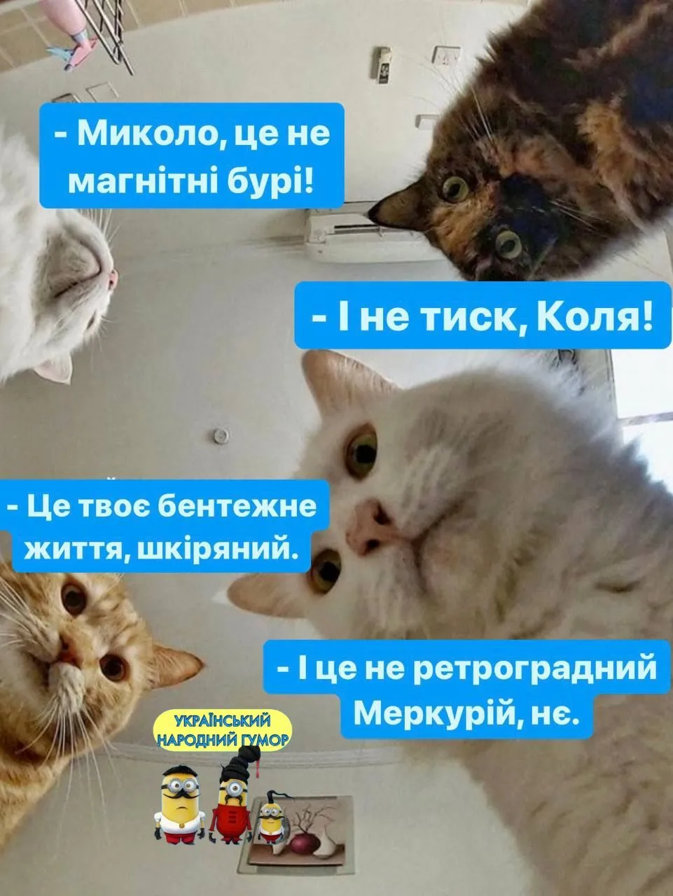 IMG-10a0be45766ba806210f26b0621572ae-V.webp